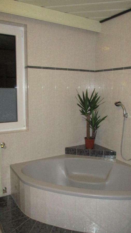 Wohnung In Haiding/Wels Εξωτερικό φωτογραφία